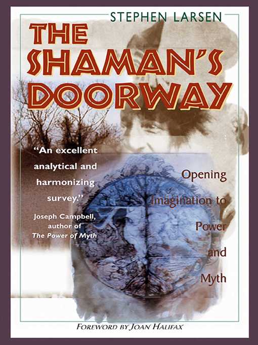 Cover image for The Shaman's Doorway